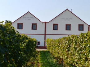 Penzion a vinařství Lelíkovi, Dolní Dunajovice
